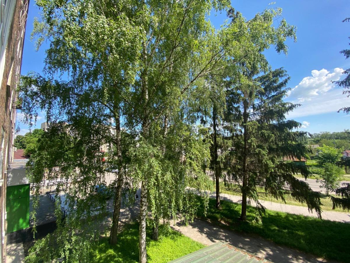 В Самом Центре Mýrhorod Exterior foto